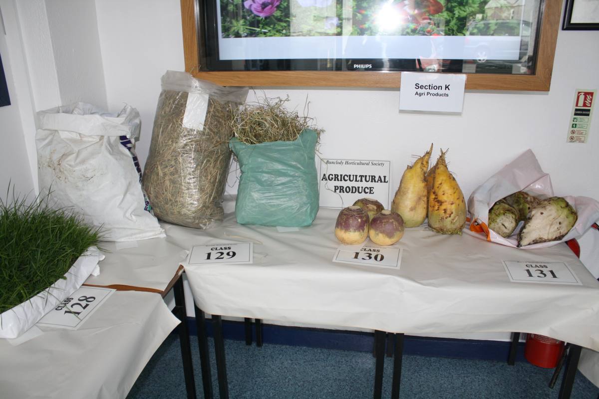 ../Images/Horticultural Show in Bunclody 2014--22.jpg